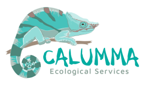 Calumma Ecological Services Logo